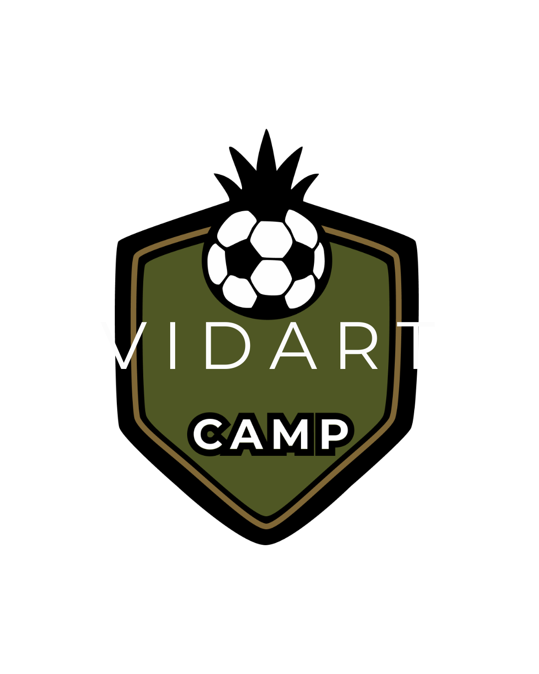 Vidartcamp Logo